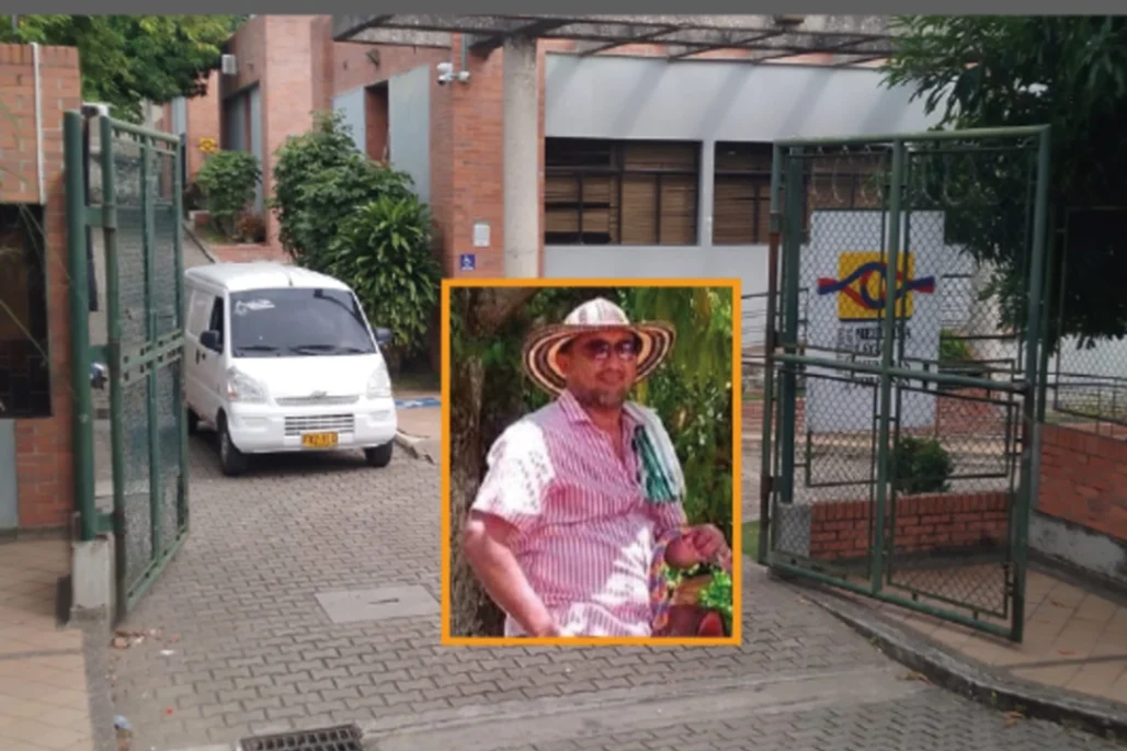 Un niño lo encontró suspendido en un árbol de mango
