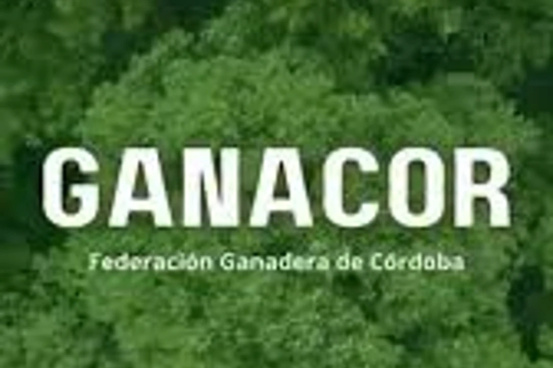 Ganacor pide exonerar el impuesto predial a damnificados por la emergencia en Córdoba