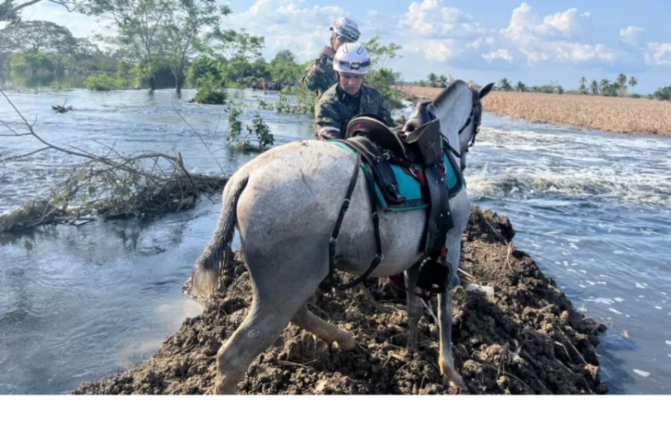 Corriente de agua desapareció a dos hermanos