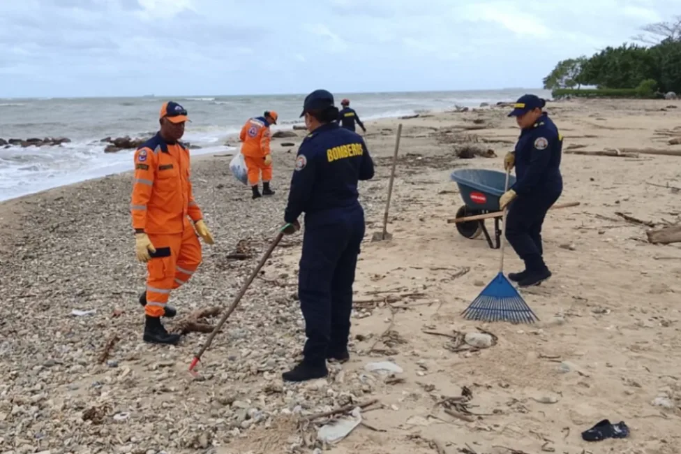 Mar de leva y frente frío provocan avistamiento de fragata portuguesa en playas de Tolú, Coveñas y San Antero, Córdoba