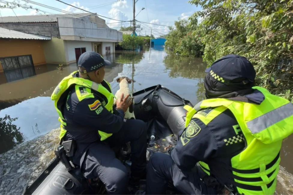 Ladrones se aprovechan de las inundaciones