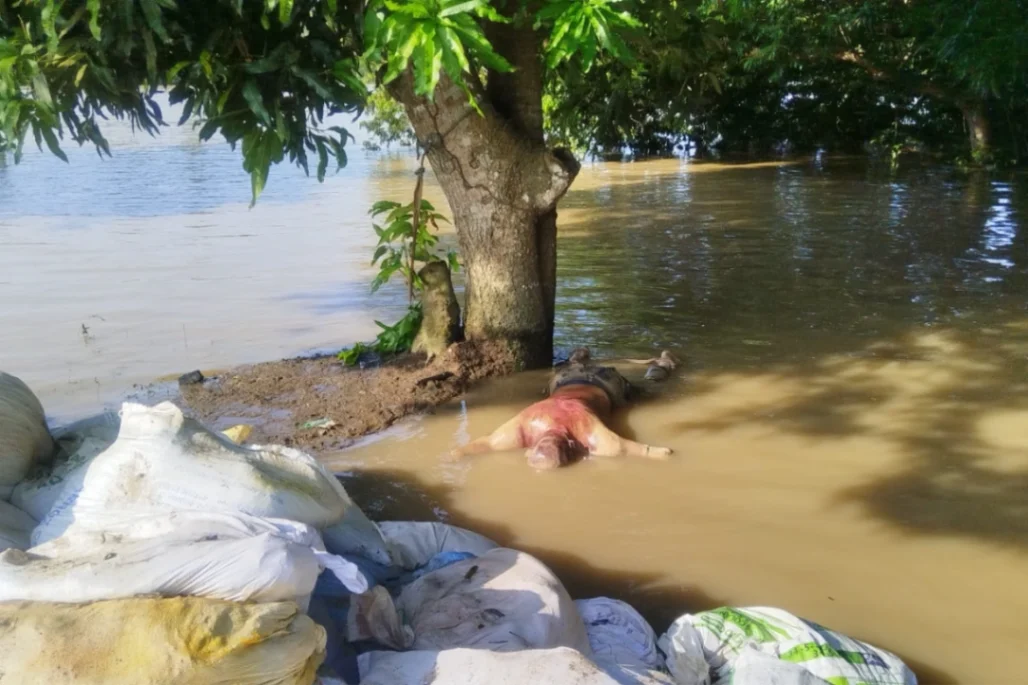 Lo encontraron en el río, estaba amarrado