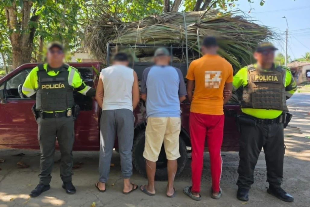 Capturados con palma amarga