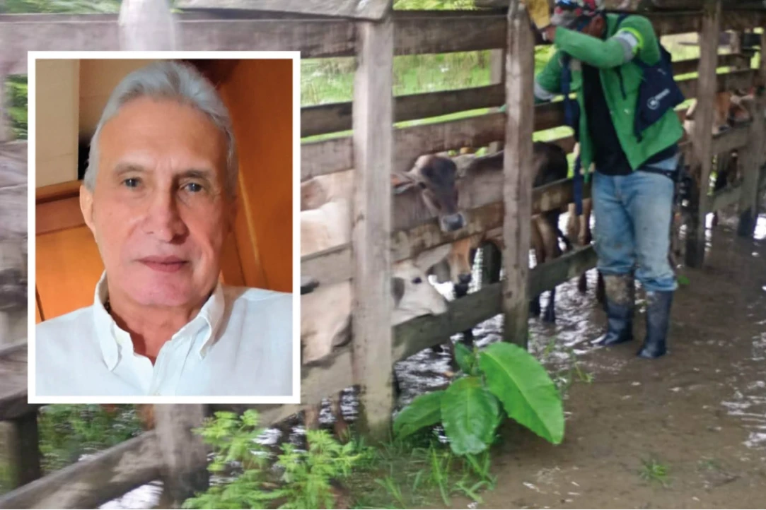Ganaderos en Sucre sufren los efectos de los frentes fríos