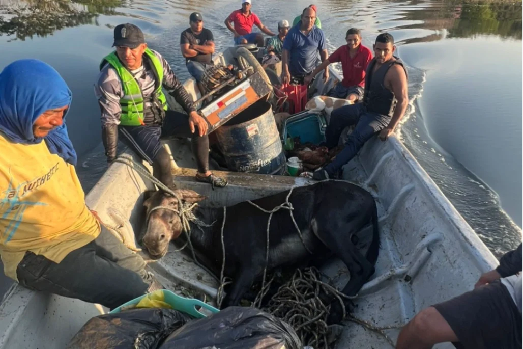 Ayudar le costó su camioneta, pero no lo frenó: siguió rescatando familias y animales en medio de la inundación
