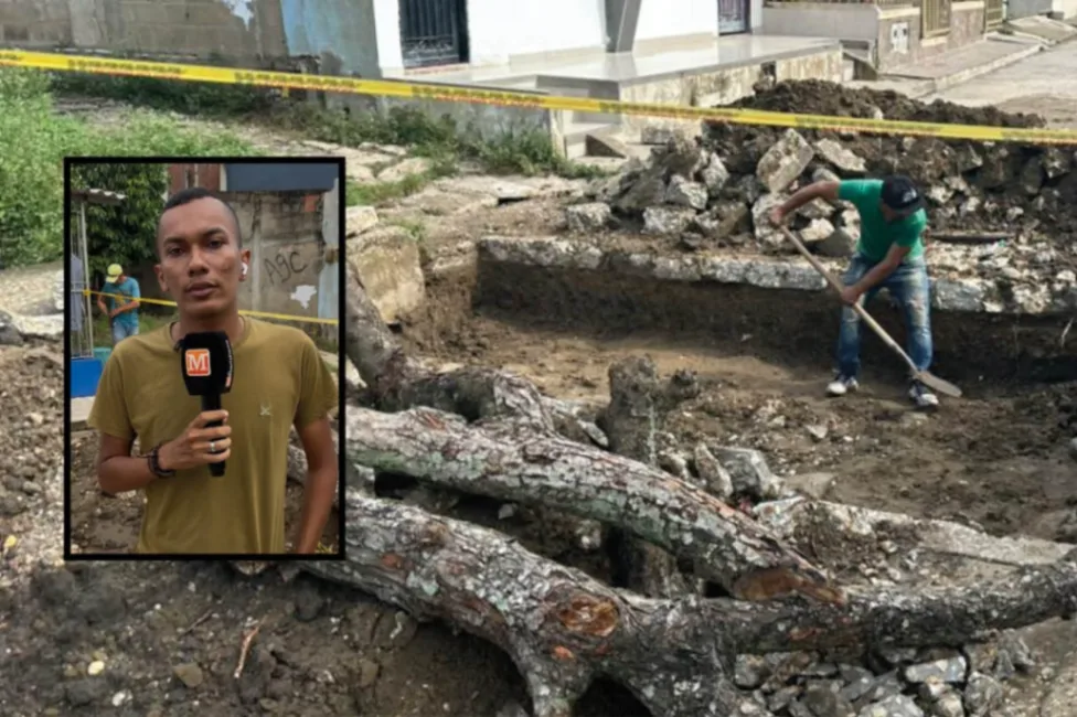 Tras informe de El Meridiano, Alcaldía interviene puente colapsado en Ciudadela Universitaria