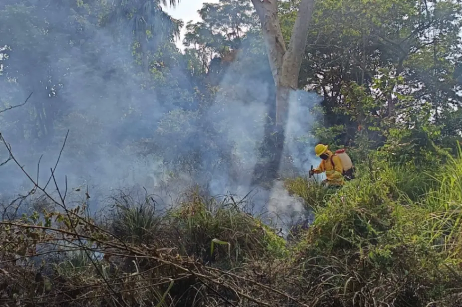 Frenan desastre ambiental