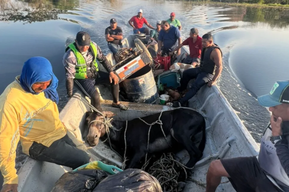 Solidaridad en medio de la emergencia