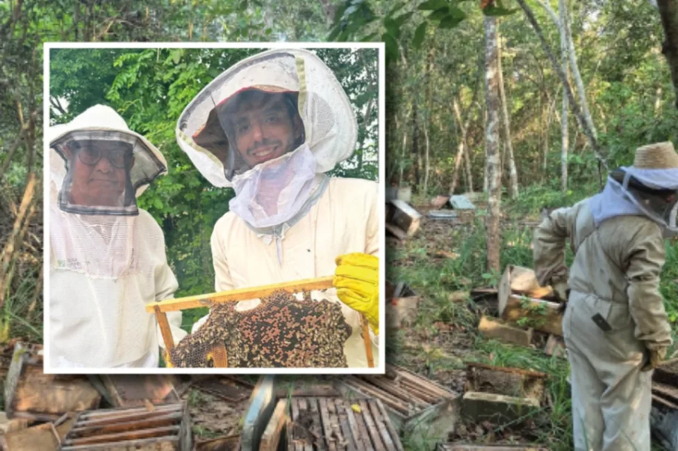 Apicultores denuncian presunto hurto y envenenamiento de la miel en Sucre