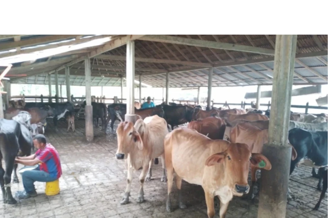 Rechazo al incremento del precio de la leche tras alzas en costos de producción