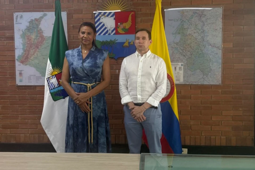 Delegados volvieron a sus cargos, preparan elecciones presidenciales