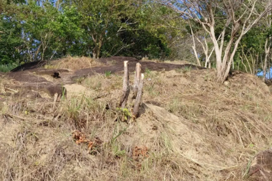 Polémica por supuesta tala en el cerro Colosiná