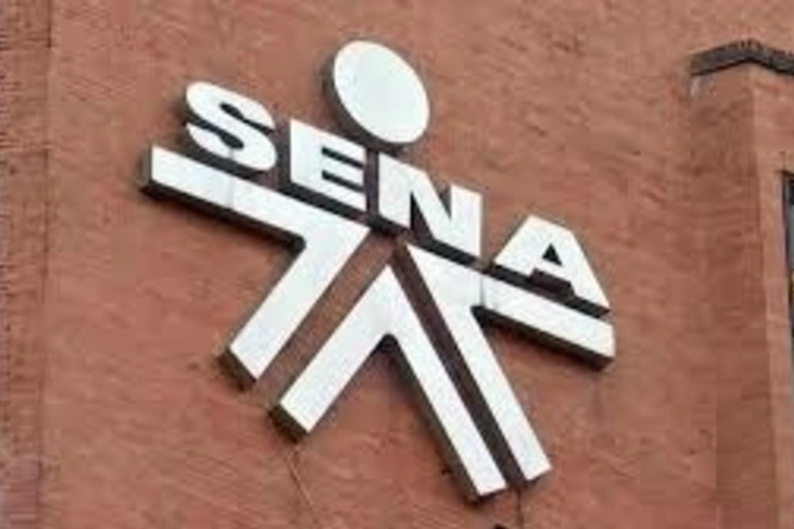 Frenan millonarios contratos de vigilancia del Sena