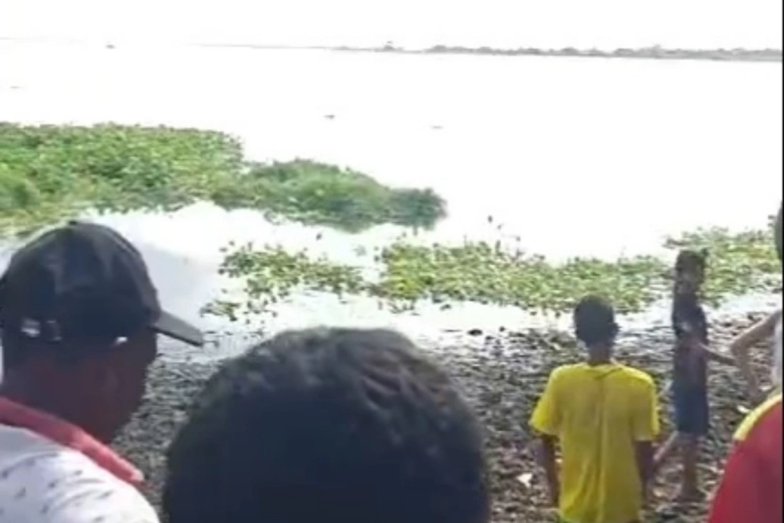 'Licale' se ahogó en la Ciénaga