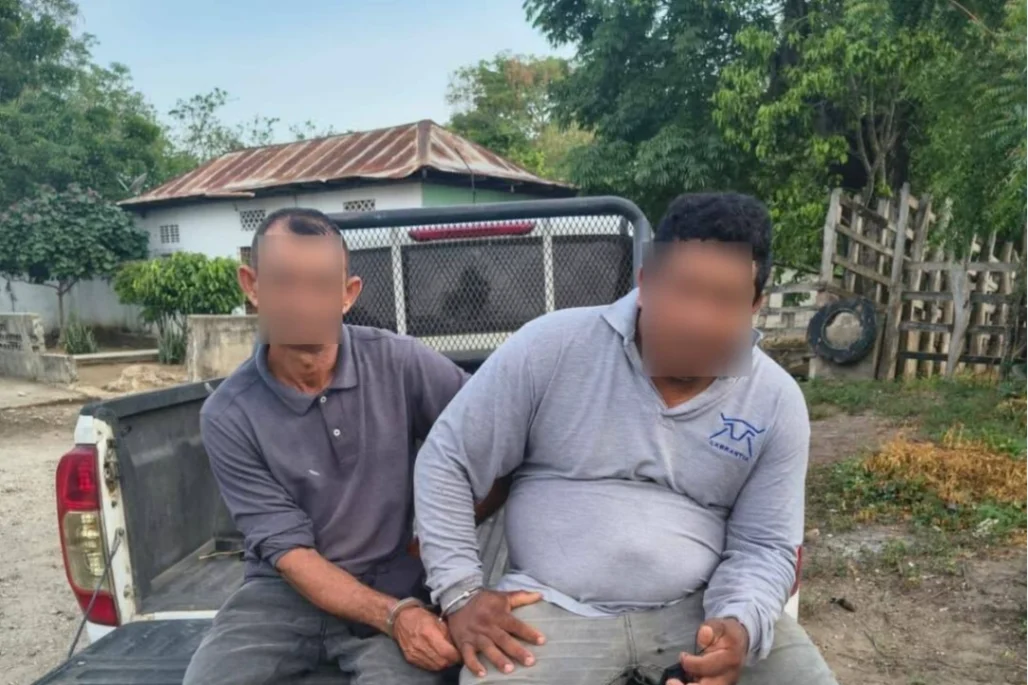 Reses que habrían sido hurtadas en Buenavista (Sucre), fueron recuperadas en Bolívar