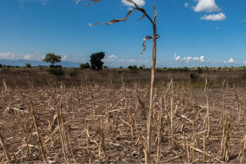 iClima alerta al Caribe colombiano para prepararse ante posible llegada del fenómeno de El Niño