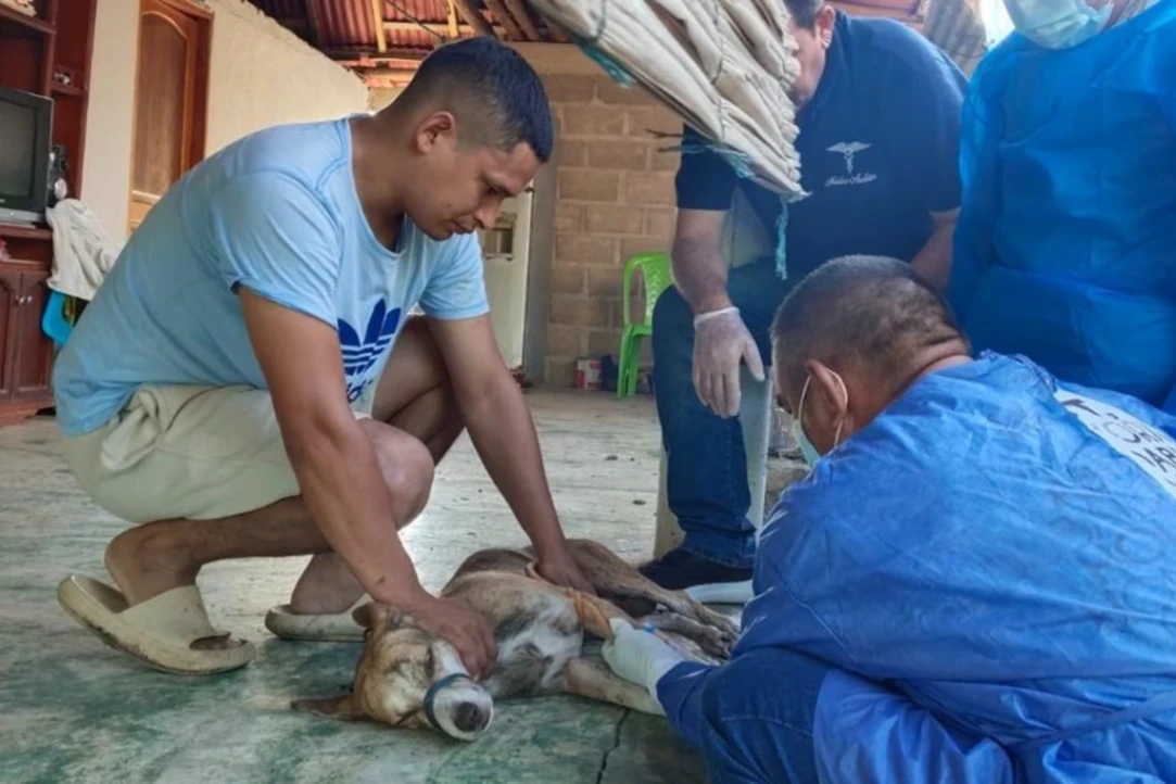 Intensifican acciones para evitar propagación de brotes de leishmaniasis