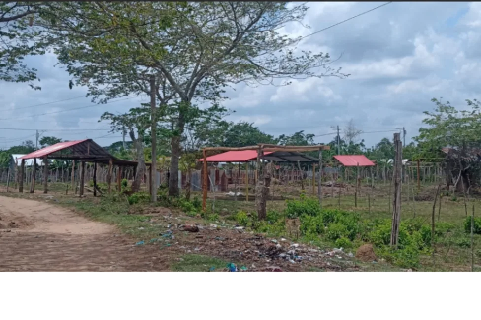 Autoridades no han podido frenar la invasión progresiva en Galeras