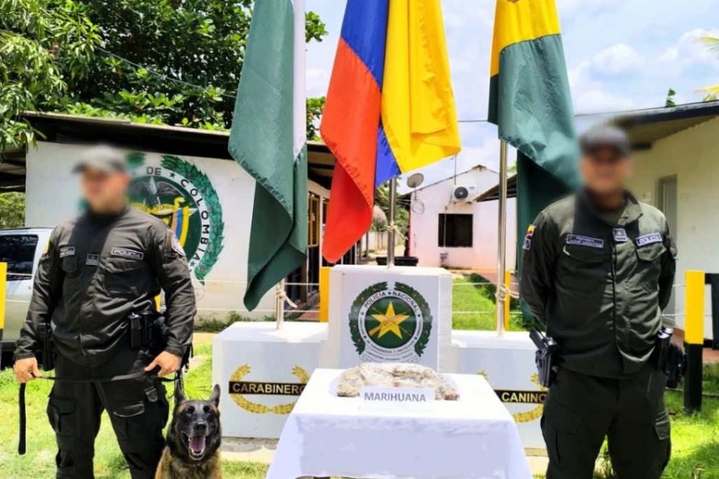 'Dimitrio' detectó cargamento de droga