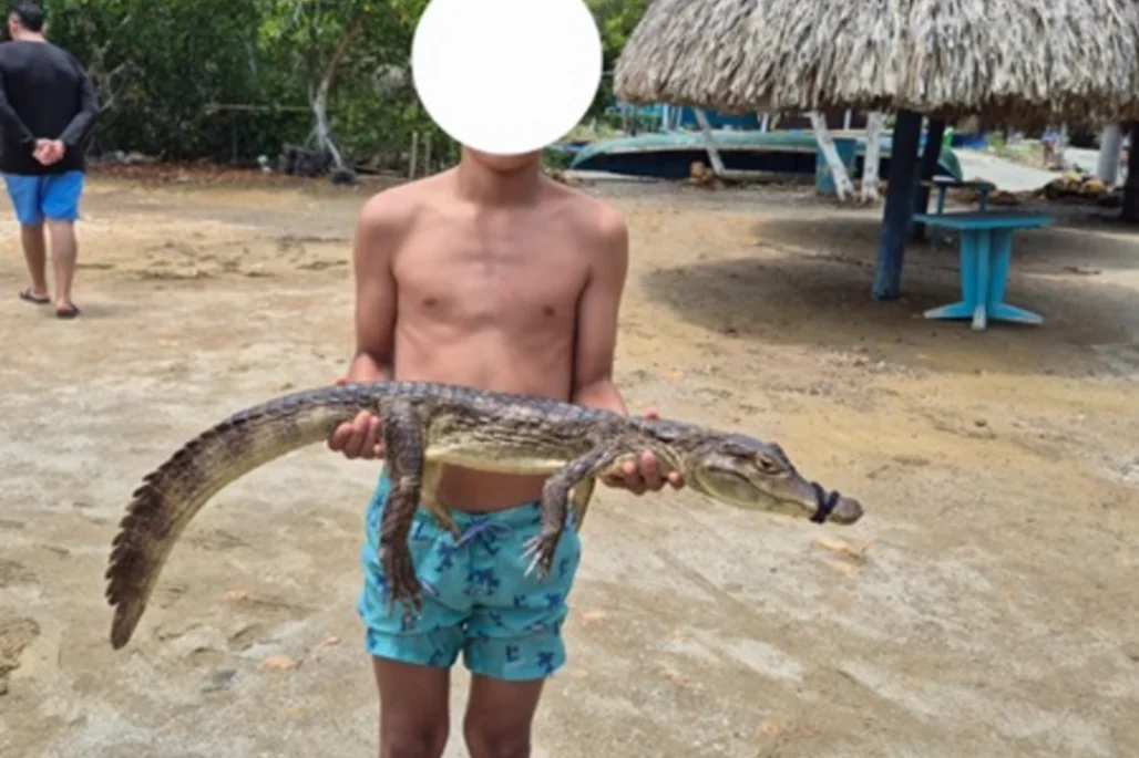 Denuncian maltrato animal en Ciénaga La Caimanera, en Coveñas