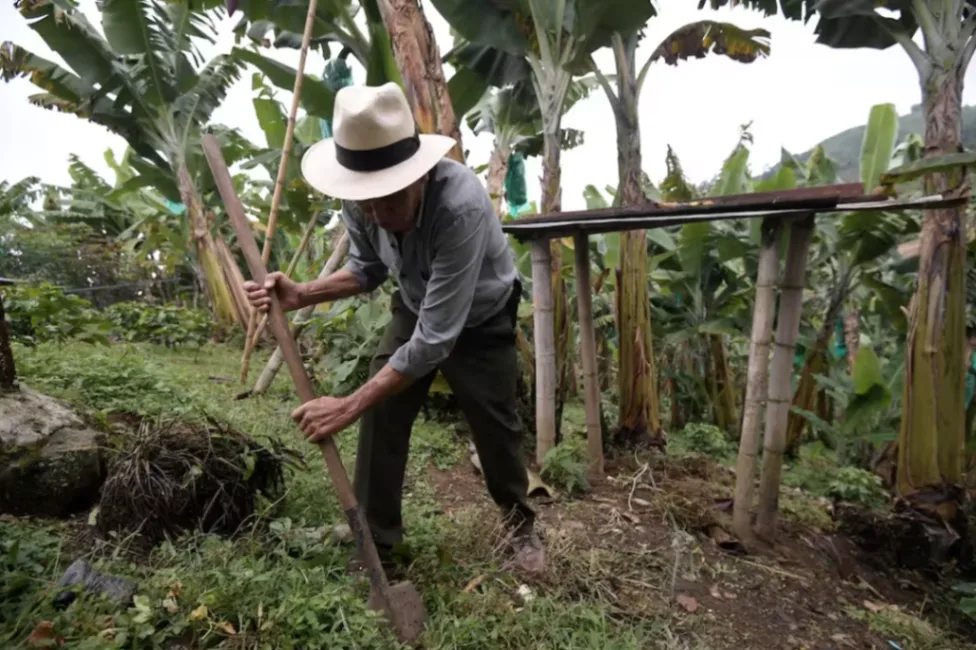 Contraloría alerta al MinAgricultura por irregularidades en Áreas Appa