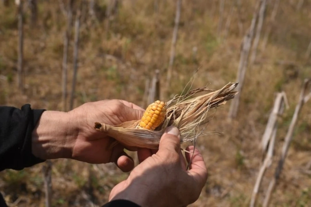 Fenómeno de El Niño podría presionar la inflación