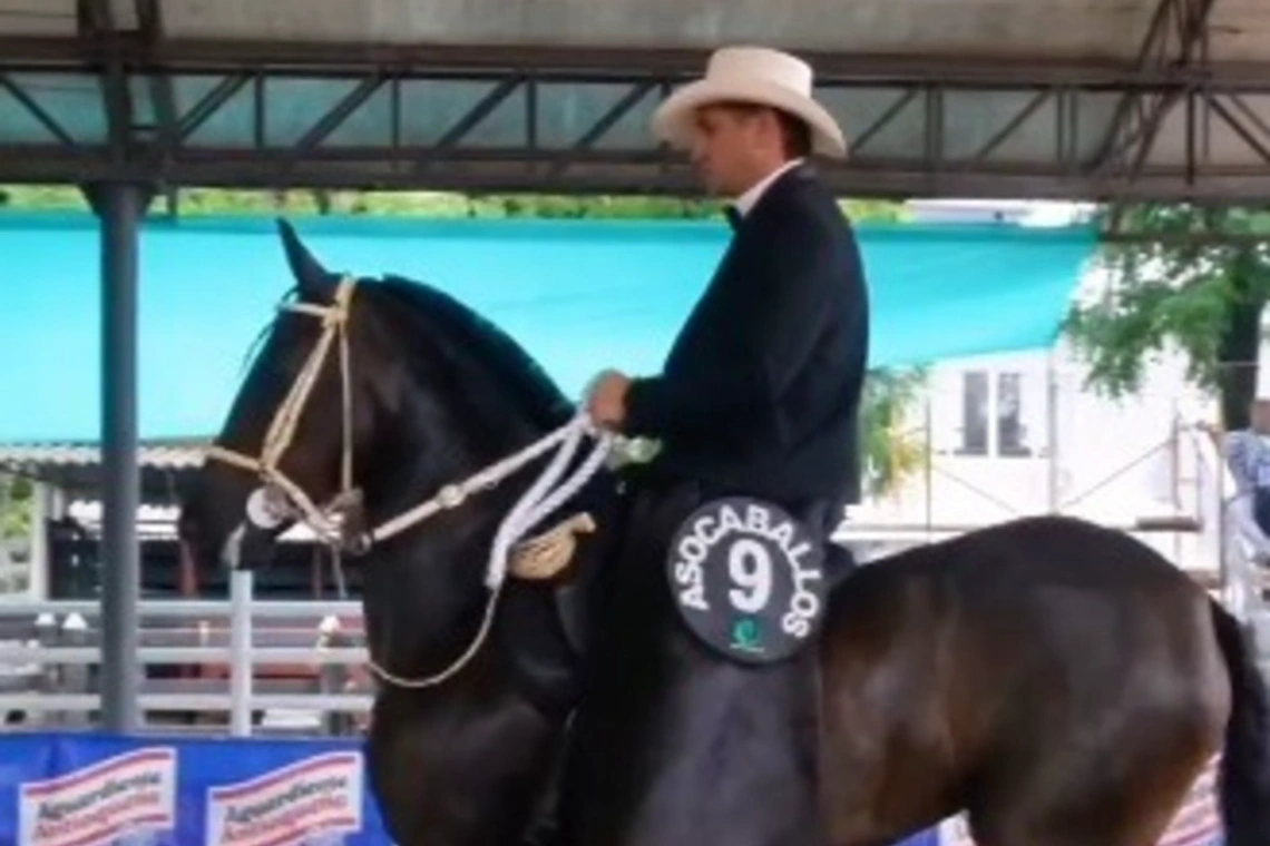 La programación de la feria para hoy tiene competencias equinas