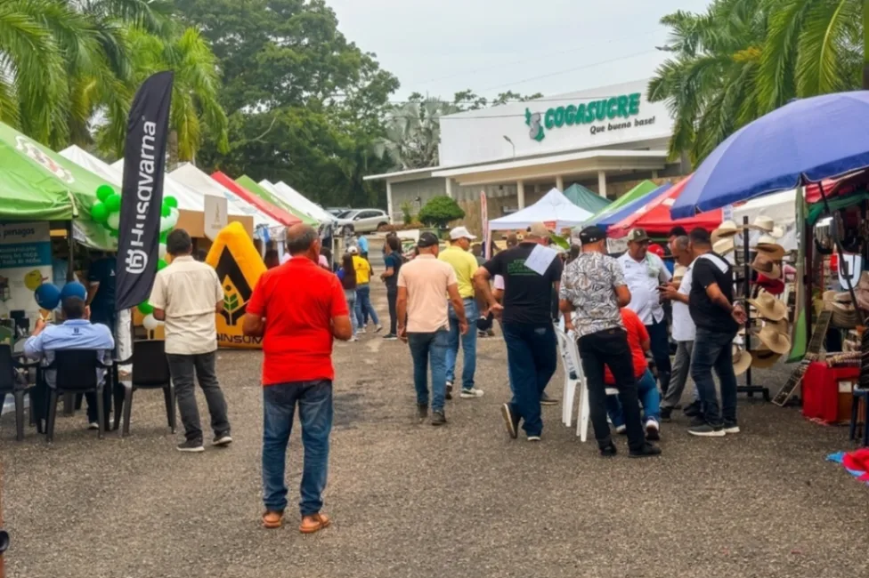 Paso fino, trocha y galope protagonizaron el segundo día de la Feria Agropecuaria de Cogasucre