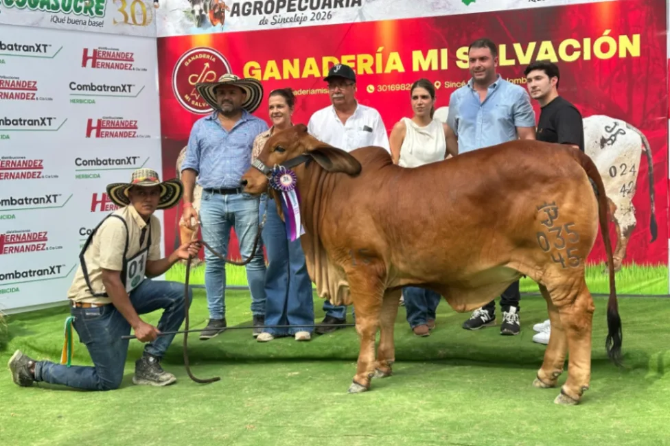 Criadores y expositores fueron los protagonistas en la Feria Exposición Agropecuaria de Cogasucre