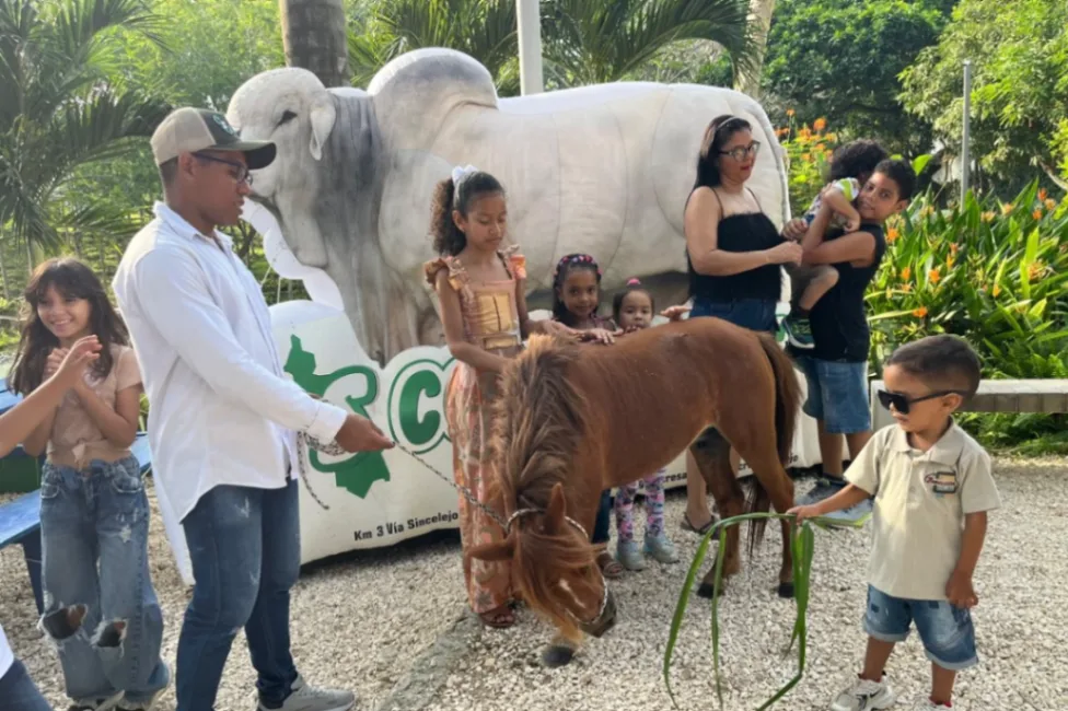 Feria de Cogasucre tendrá hoy una gran fiesta vaquera y familiar
