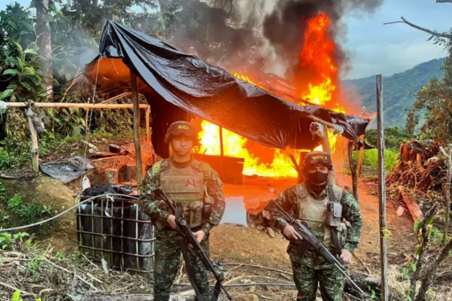 Ejército destruye laboratorios de coca del Clan del Golfo en Córdoba y Antioquia