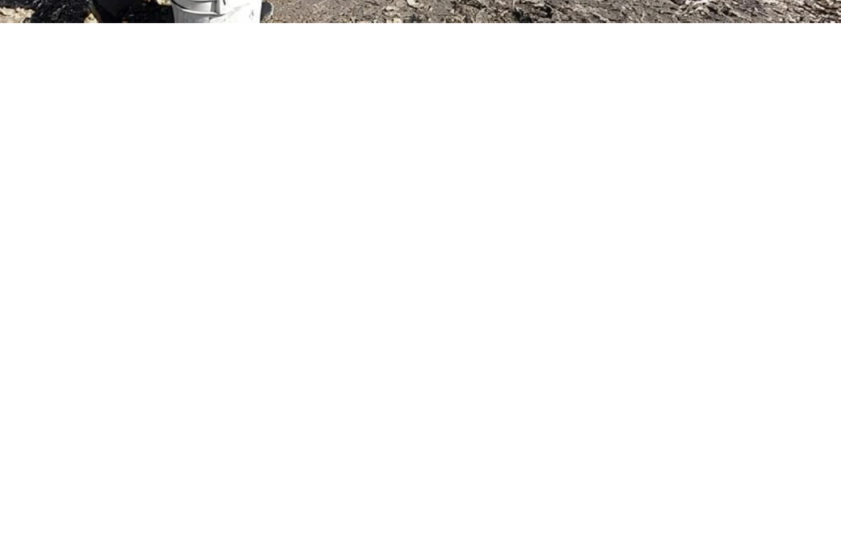 Ganaderos se preparan para la llegada de El Niño