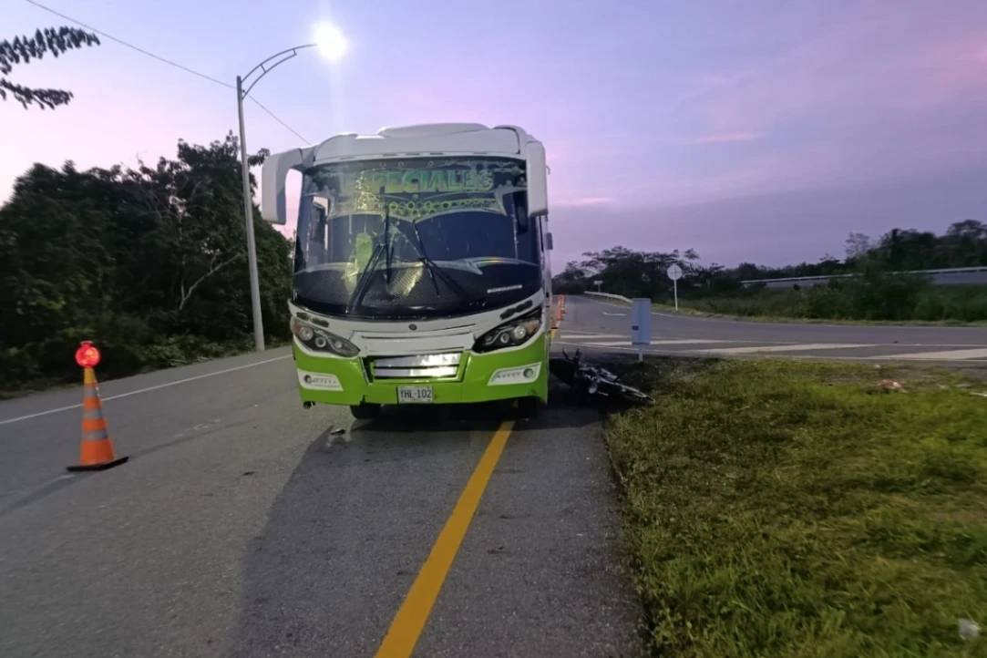 Un bus lo embistió, no sobrevivió
