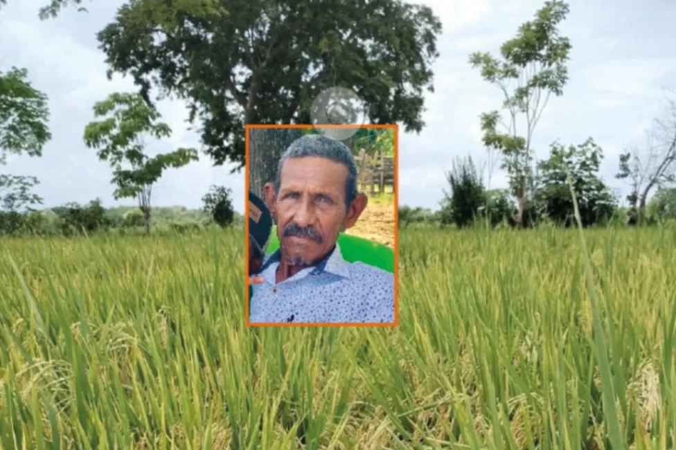 Agricultor murió tras ser impactado por un rayo mientras cuidaba cultivo de arroz en Guaranda