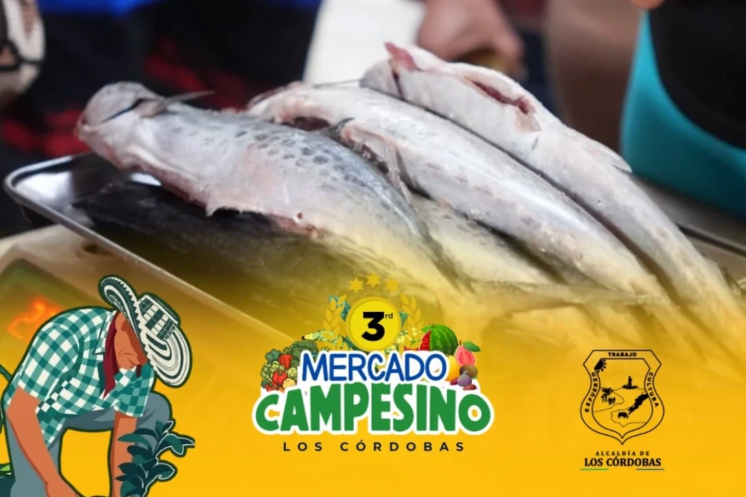 ¡Porque lo bueno se repite, vuelve el 3er Mercado Campesino de Los Córdobas!