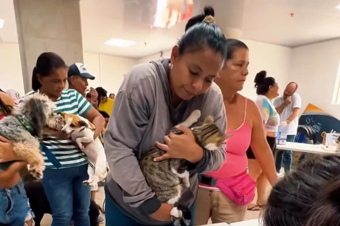 Alcaldía de Sincelejo llevó a cabo una Donatón para apoyar a los animales de la ciudad