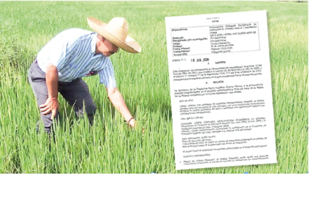 Con la indagación, Procuraduría busca verificar anomalías en la 'Ruta del Arroz'