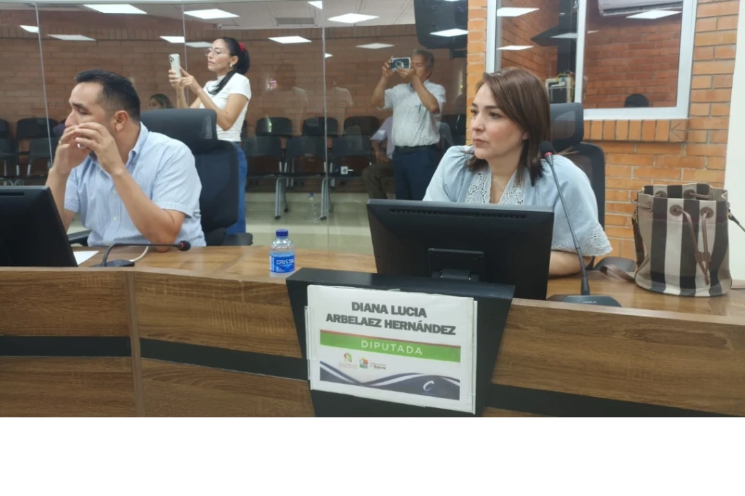 Diputados cierran filas en defensa de la Tasa de Seguridad