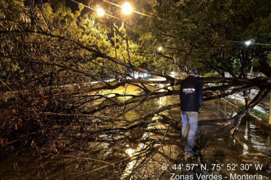 Organismos de socorro continúan atendiendo afectaciones por lluvias y fuertes vientos de anoche