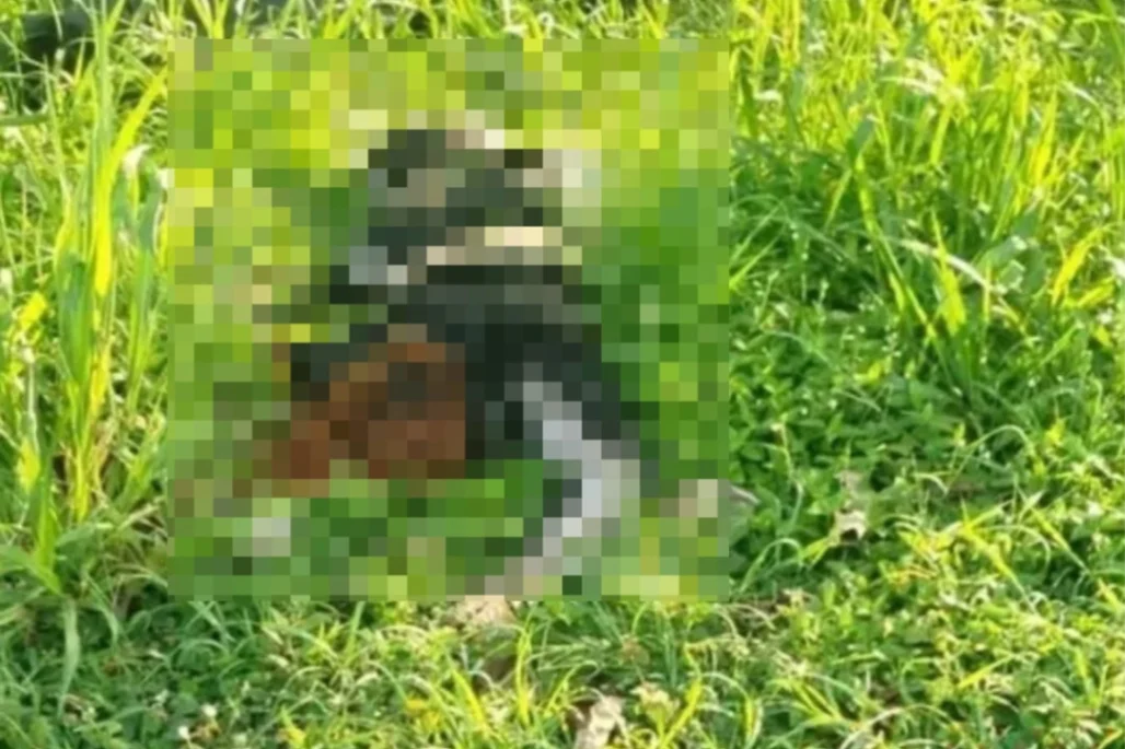 Hallan el cuerpo sin vida de una mujer en la vía Buenavista y Planeta Rica