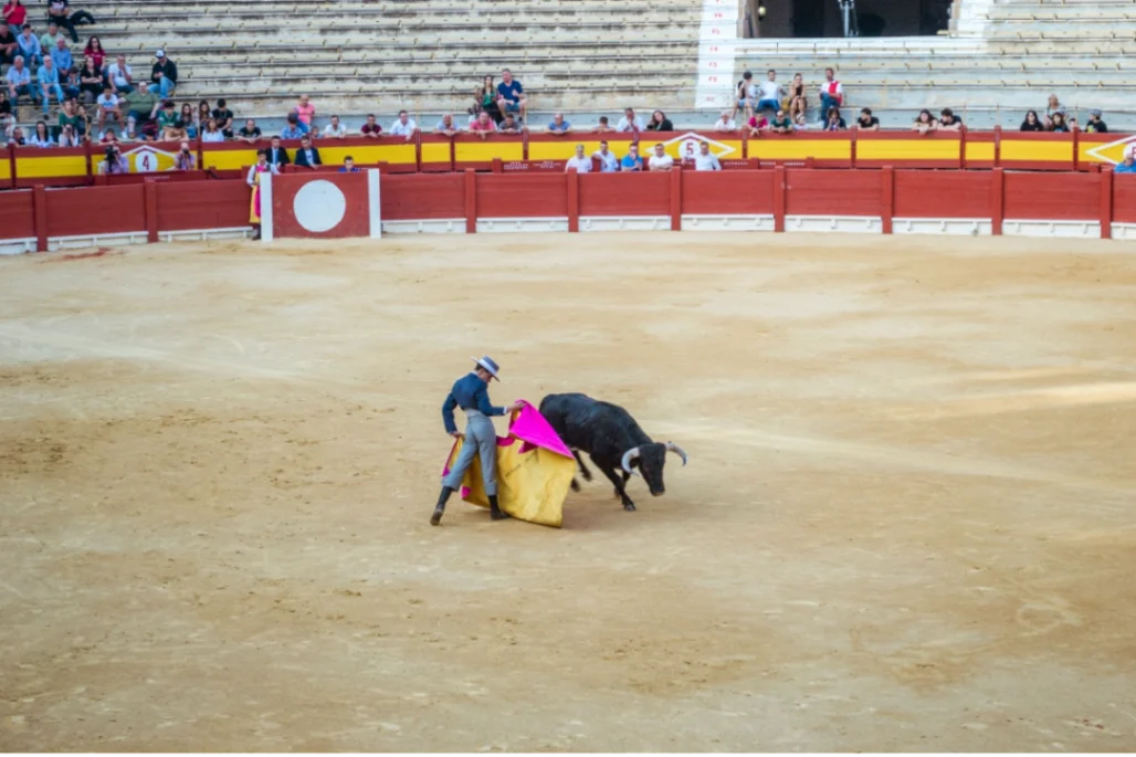Endurecen reglas de la tauromaquia