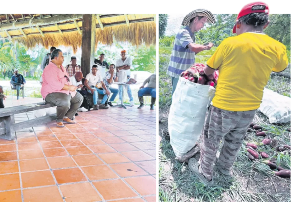 El Central, toda una farsa de la Agencia de Tierras
