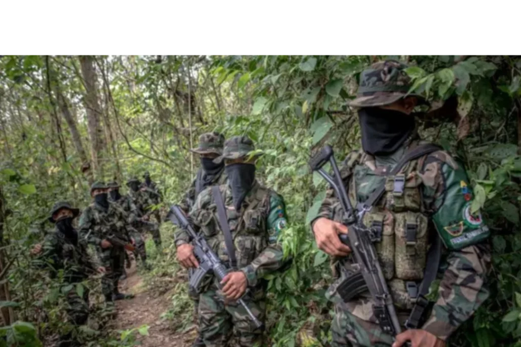 Consejo de Estado mantiene en firme las ZUT para EGC en Chocó y Córdoba