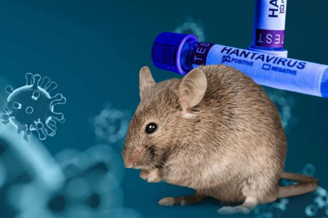 Venezuela activa alerta epidemiológica tras confirmar tres muertes por hantavirus