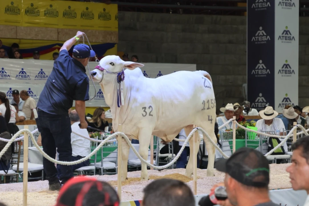 En agosto, Córdoba recibirá la 79.ª Feria Nacional Cebú