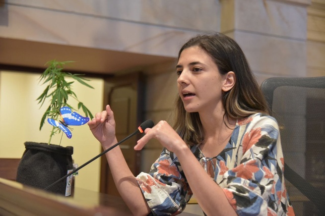 Procuraduría abre investigación contra Susana Boreal