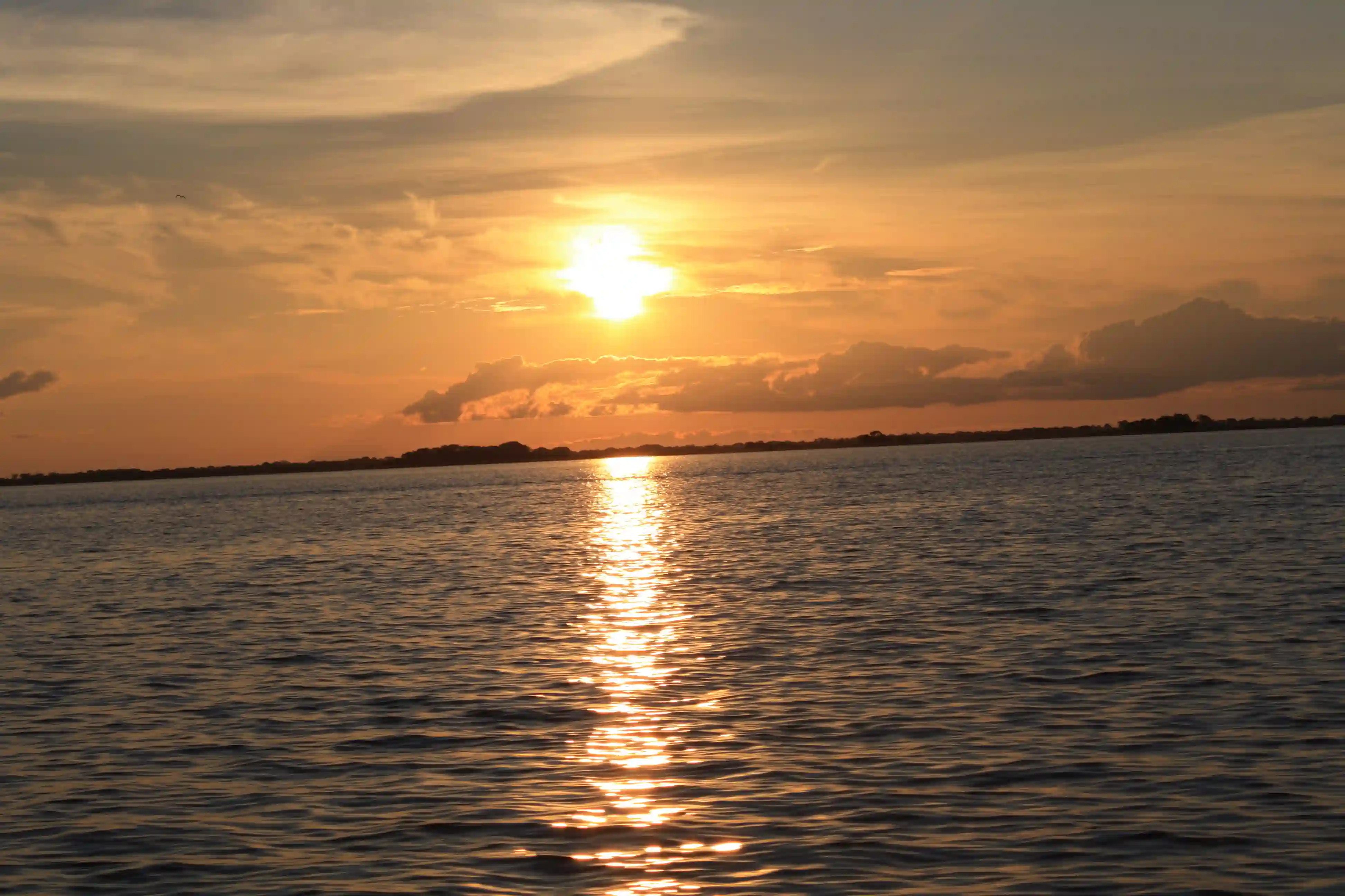 Ciénaga de Ayapel, designada sitio Ramsar